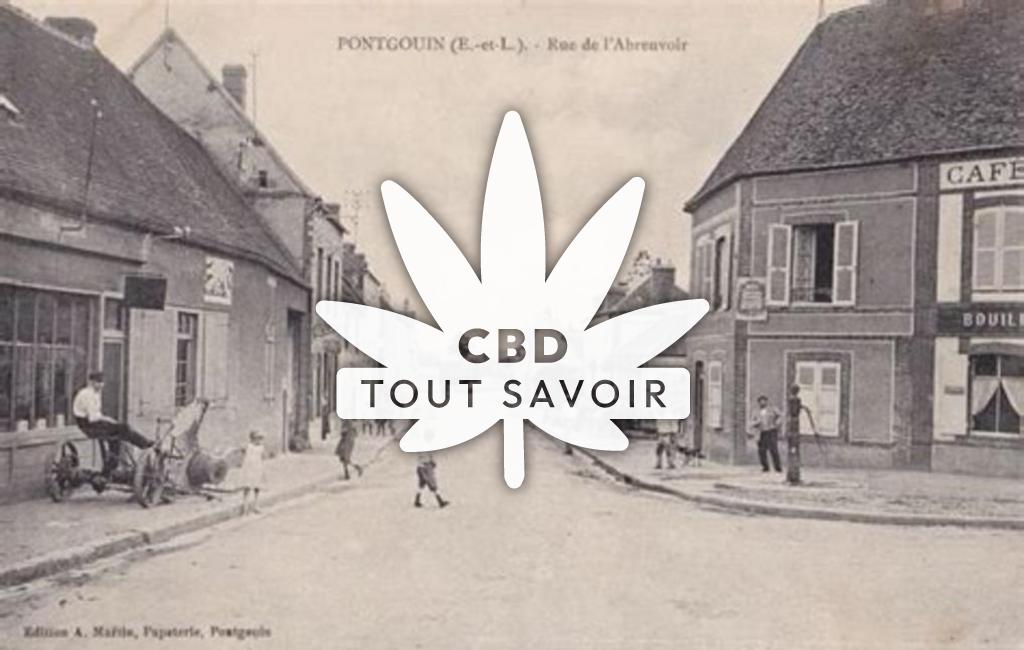 Village à Pontgouin avec feuille Cannabis CBD