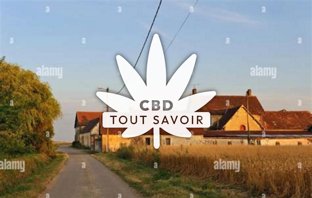 Village à Saint-Laurent-la-Gatine avec feuille Cannabis CBD