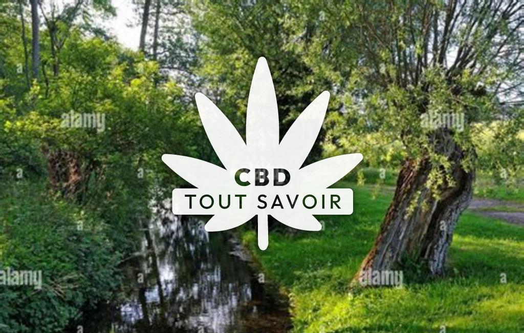 Village à Senantes avec feuille Cannabis CBD