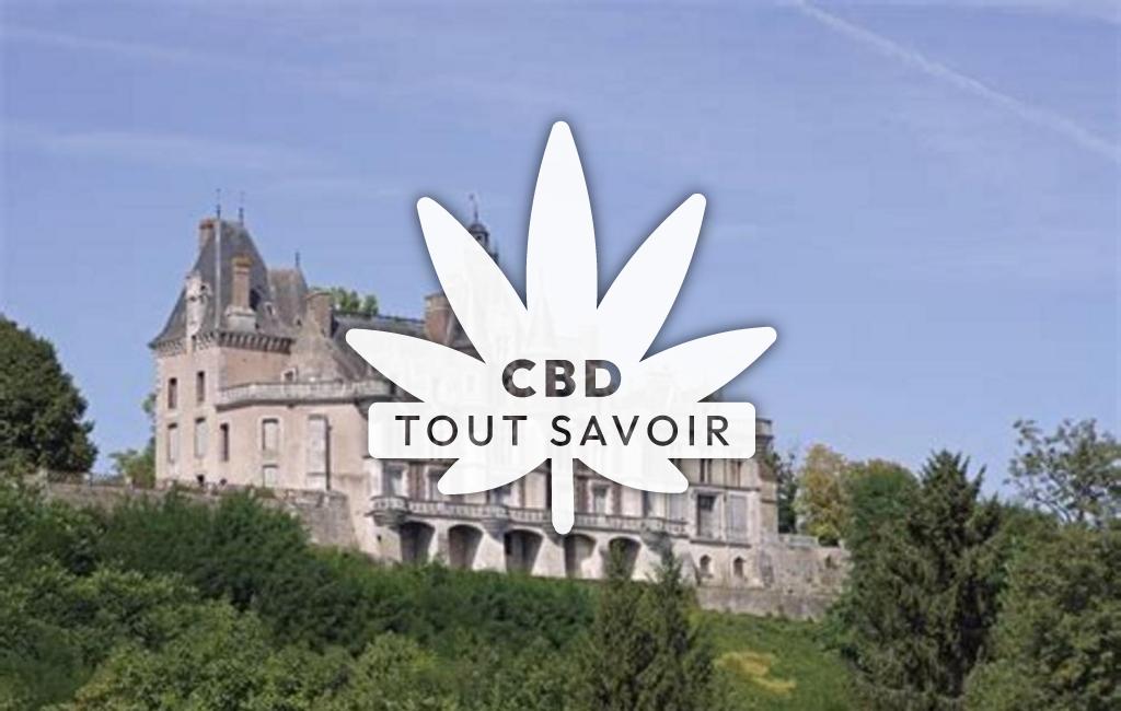 Village à Cloyes-les-Trois-Rivieres avec feuille Cannabis CBD