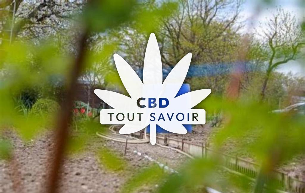 Village à Droue-sur-Drouette avec feuille Cannabis CBD