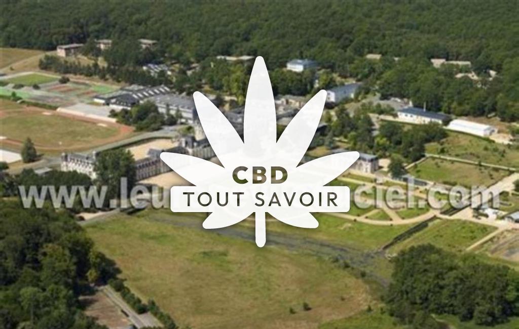 Village à Saint-Maurice-Saint-Germain avec feuille Cannabis CBD