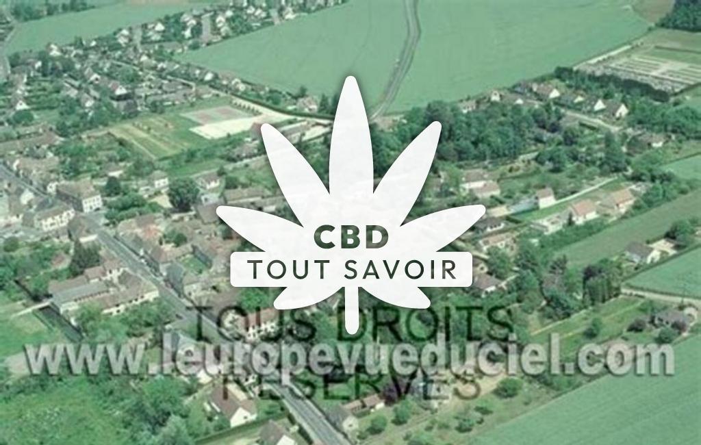 Village à La-Chaussee-D'Ivry avec feuille Cannabis CBD