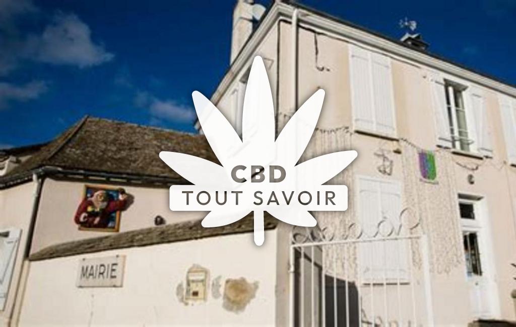 Village à Saint-Ouen-Marchefroy avec feuille Cannabis CBD