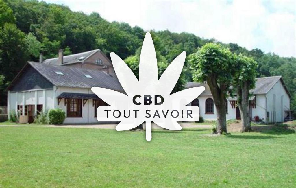 Village à Berou-la-Mulotiere avec feuille Cannabis CBD