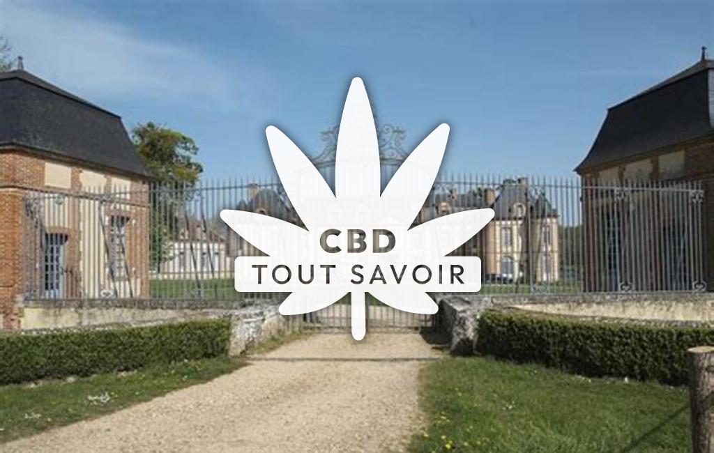 Village à Montigny-sur-Avre avec feuille Cannabis CBD