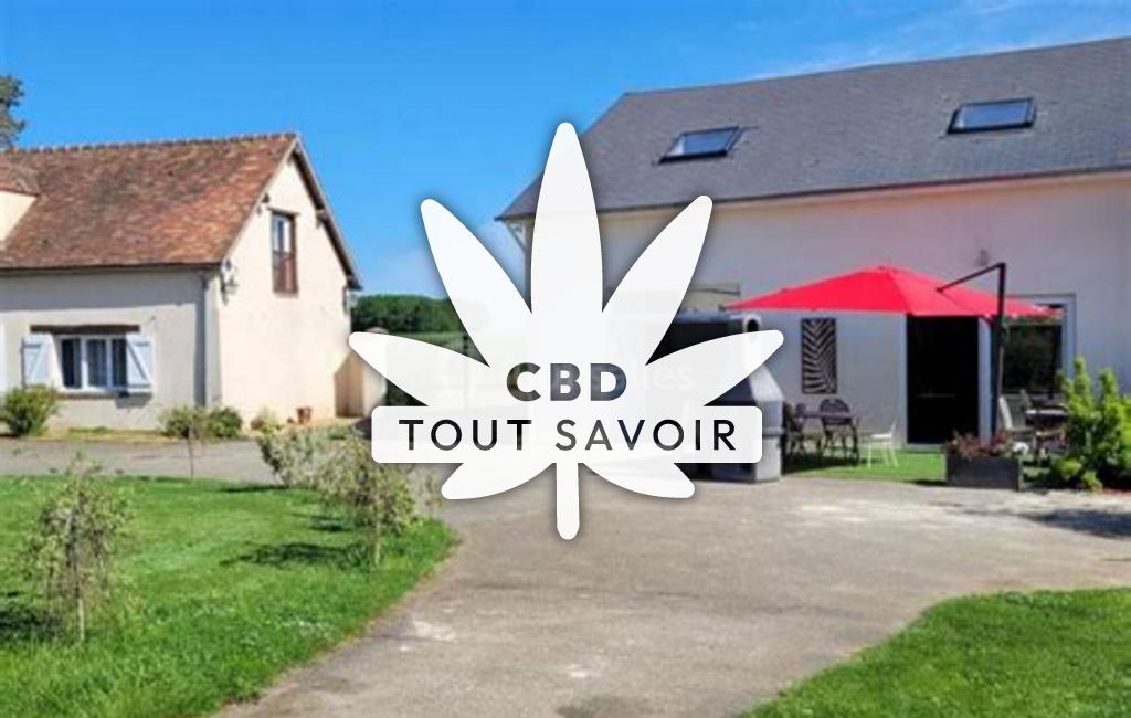Village à Bailleau-l'Eveque avec feuille Cannabis CBD