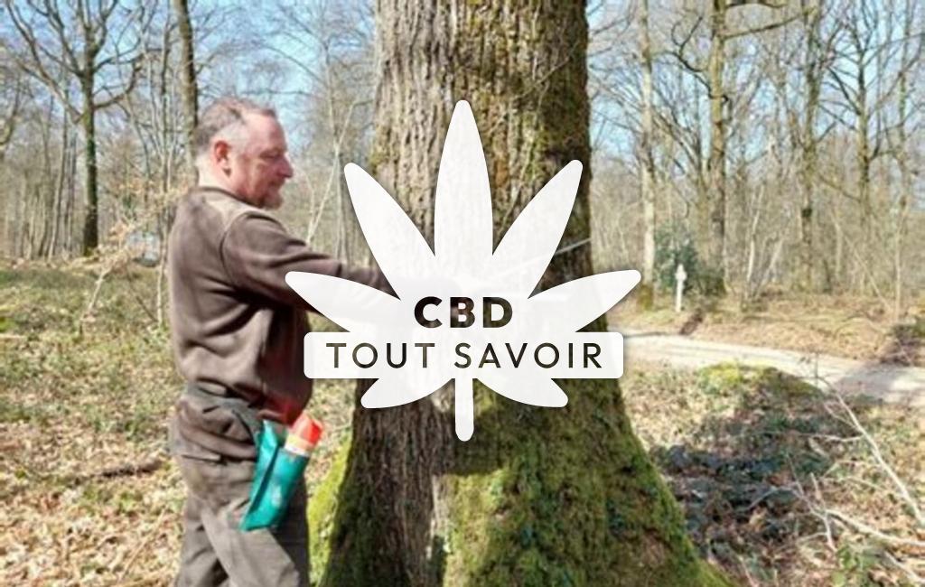 Village à Chapelle-Guillaume avec feuille Cannabis CBD