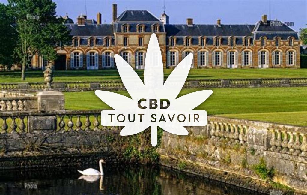 Village à La-Ferte-Vidame avec feuille Cannabis CBD