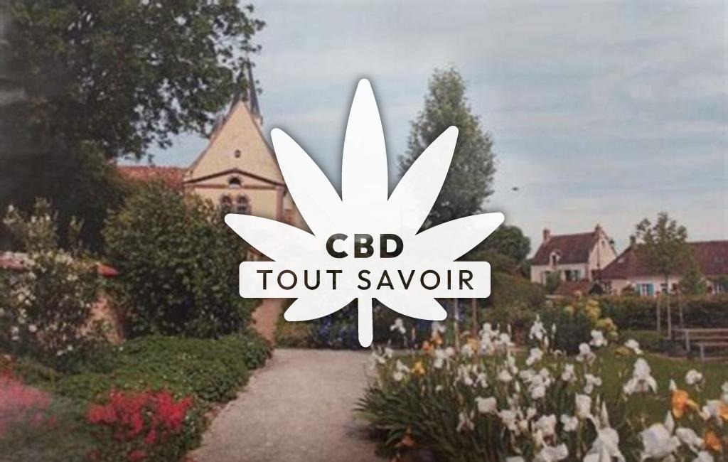 Village à Trizay-Coutretot-Saint-Serge avec feuille Cannabis CBD
