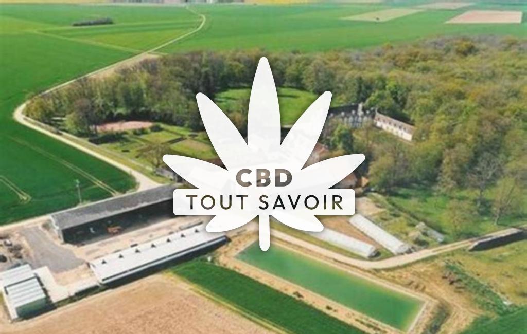 Village à Broue avec feuille Cannabis CBD