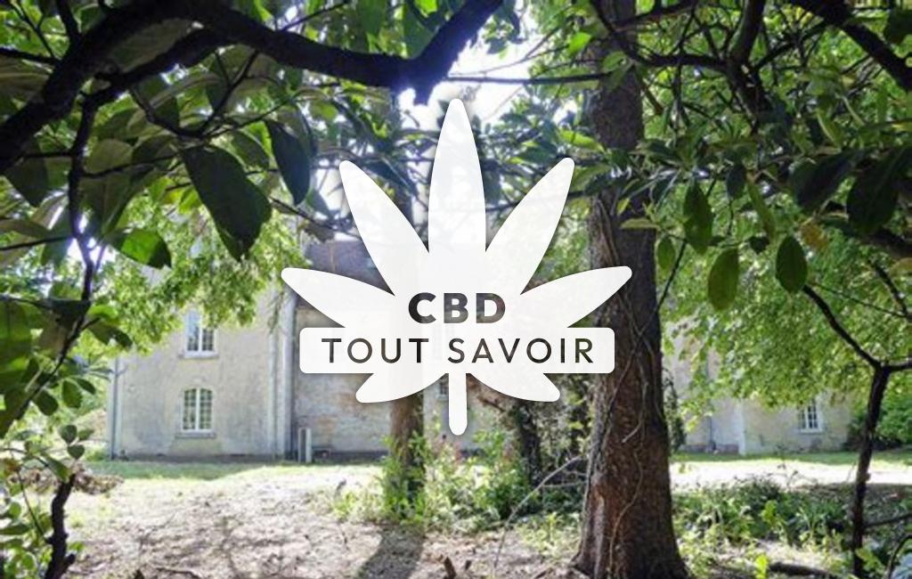Village à Argenvilliers avec feuille Cannabis CBD