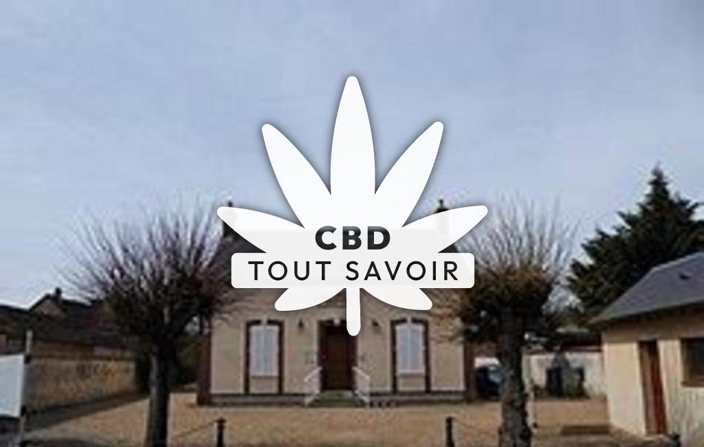 Village à Boissy-en-Drouais avec feuille Cannabis CBD