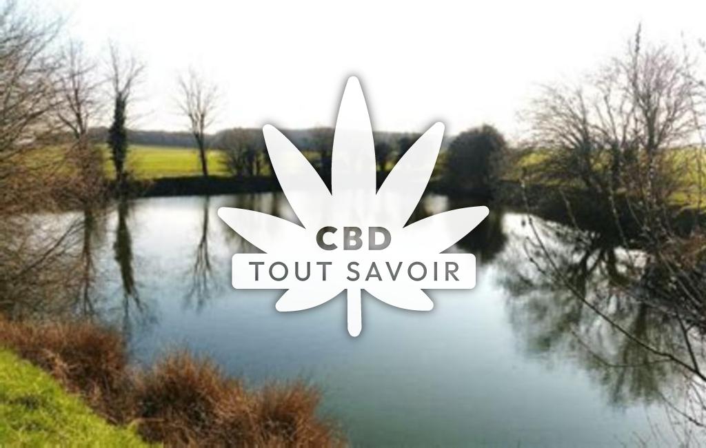 Village à Garancieres-en-Drouais avec feuille Cannabis CBD