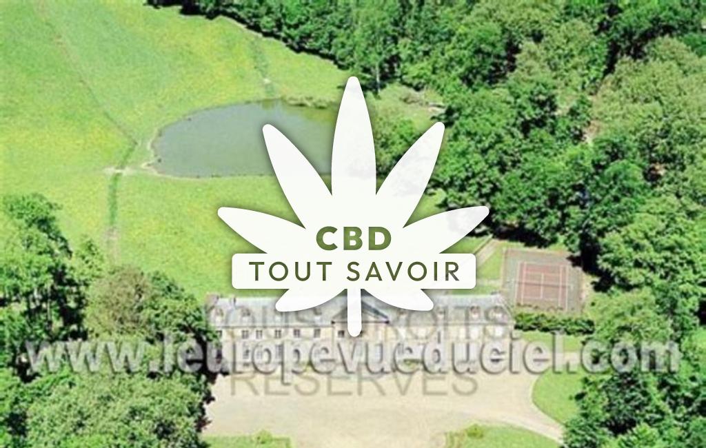 Village à Garnay avec feuille Cannabis CBD