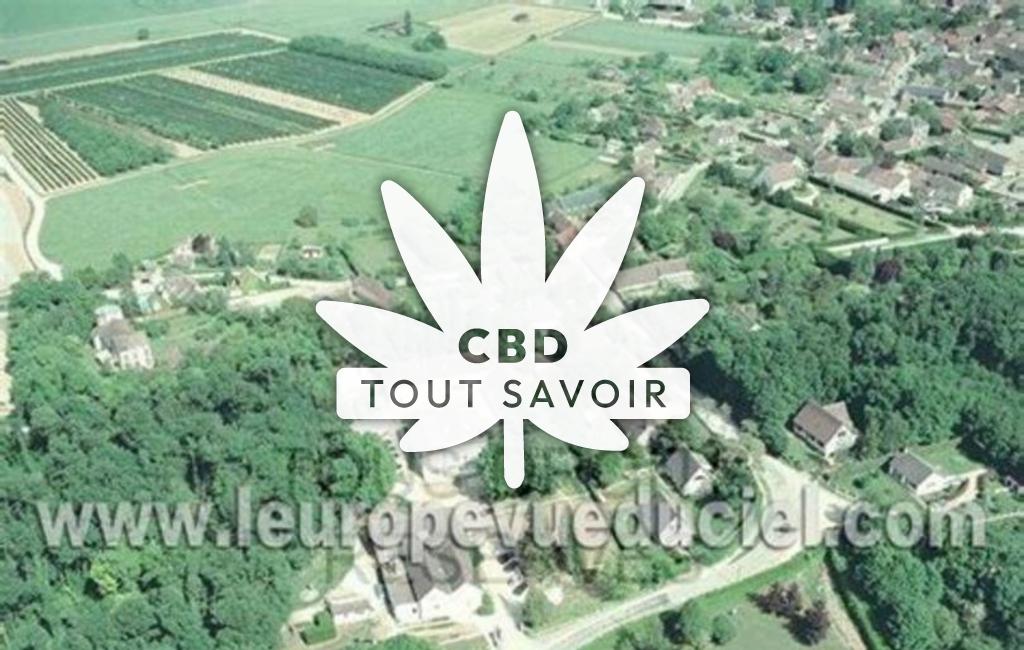 Village à Mezieres-en-Drouais avec feuille Cannabis CBD