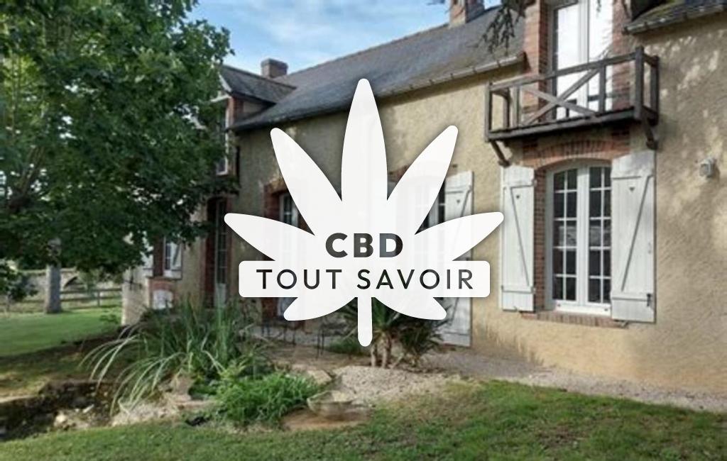 Village à Saint-Leger-des-Aubees avec feuille Cannabis CBD