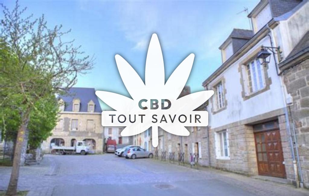 Village à Le-Juch avec feuille Cannabis CBD