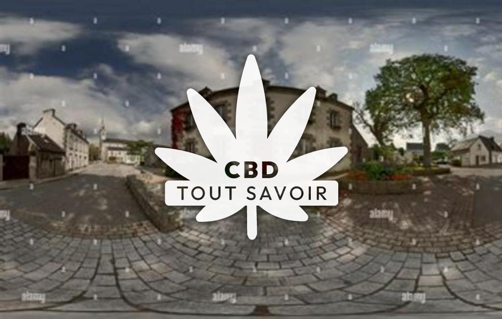 Village à Pleuven avec feuille Cannabis CBD