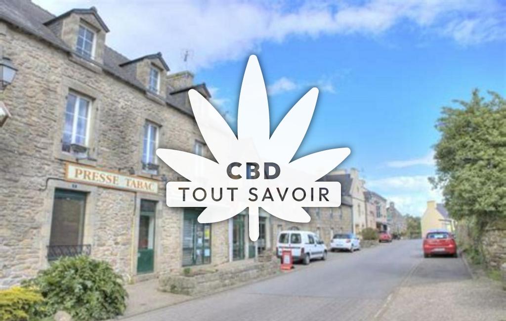 Village à Plogonnec avec feuille Cannabis CBD