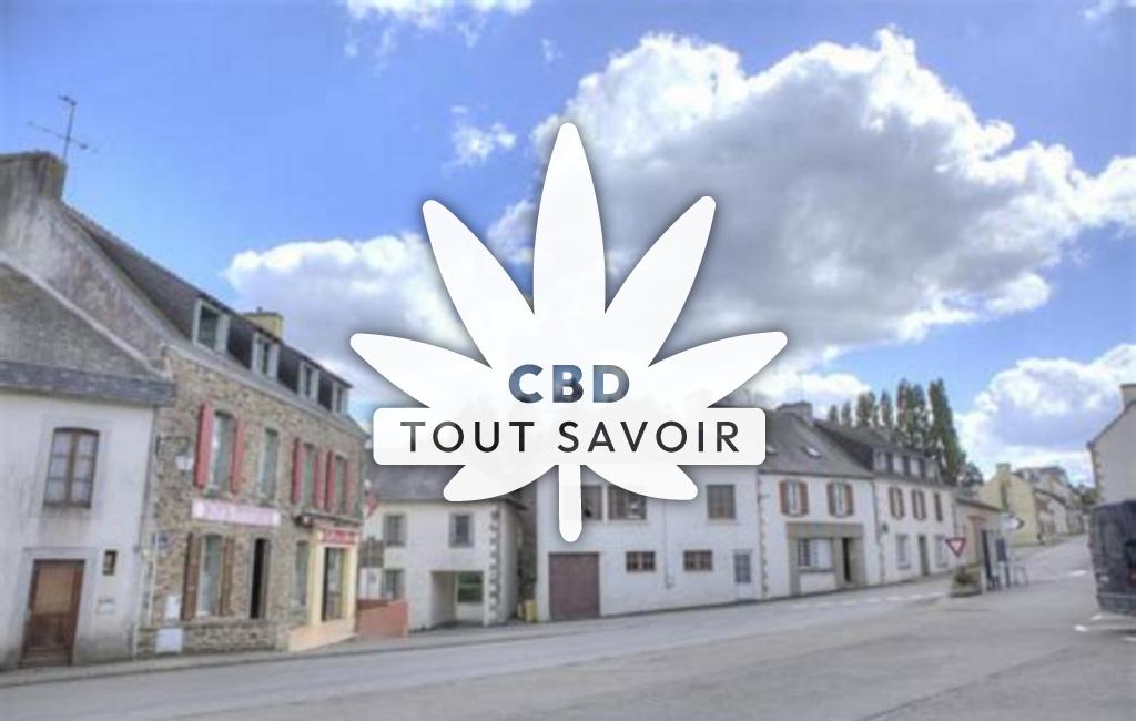 Village à Quemeneven avec feuille Cannabis CBD