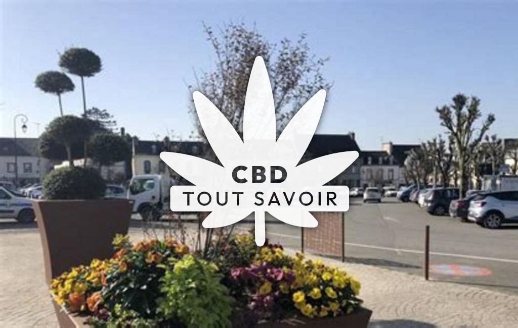 Village à Pleyben avec feuille Cannabis CBD
