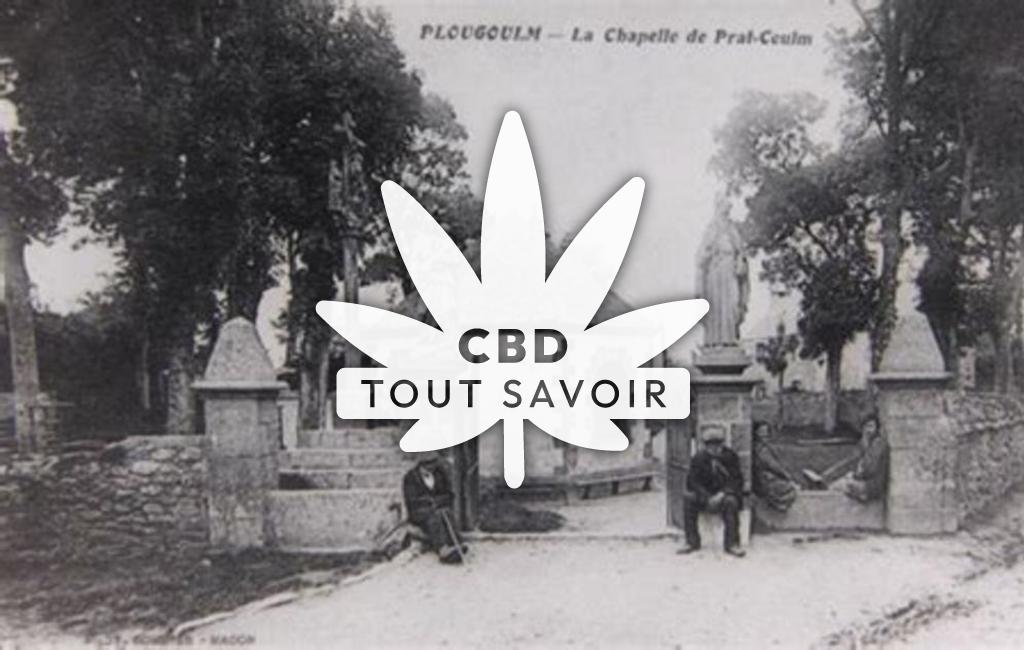 Village à Plougoulm avec feuille Cannabis CBD