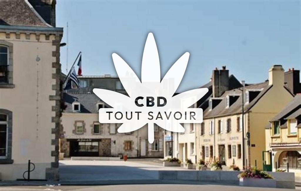 Village à Lesneven avec feuille Cannabis CBD
