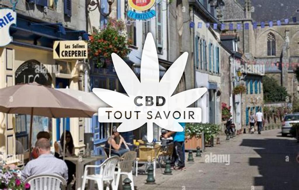 Village à Carhaix-Plouguer avec feuille Cannabis CBD