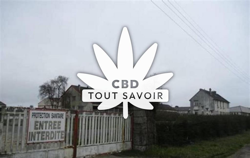 Village à Plounevezel avec feuille Cannabis CBD