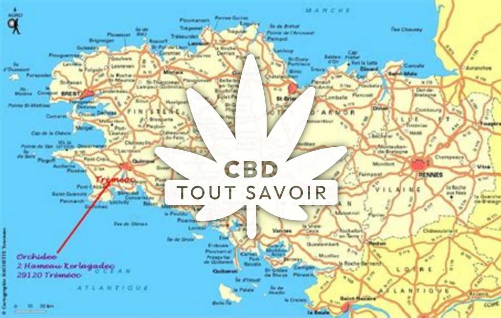 Village à Tremeven avec feuille Cannabis CBD