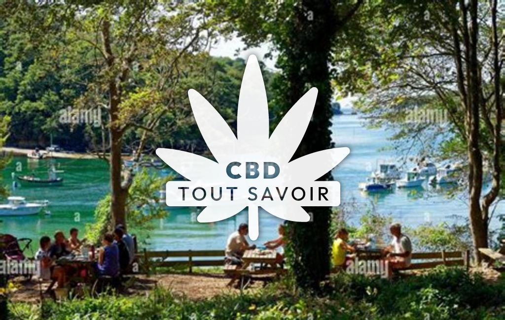 Village à Riec-sur-Belon avec feuille Cannabis CBD