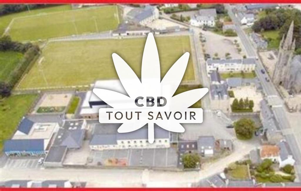 Village à Bodilis avec feuille Cannabis CBD