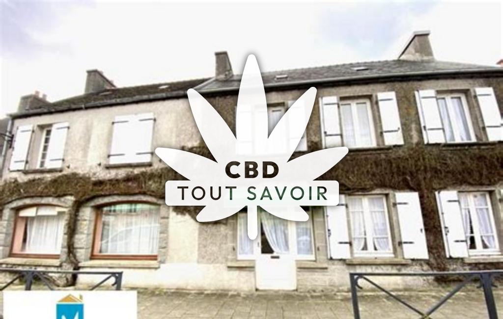 Village à Guimiliau avec feuille Cannabis CBD