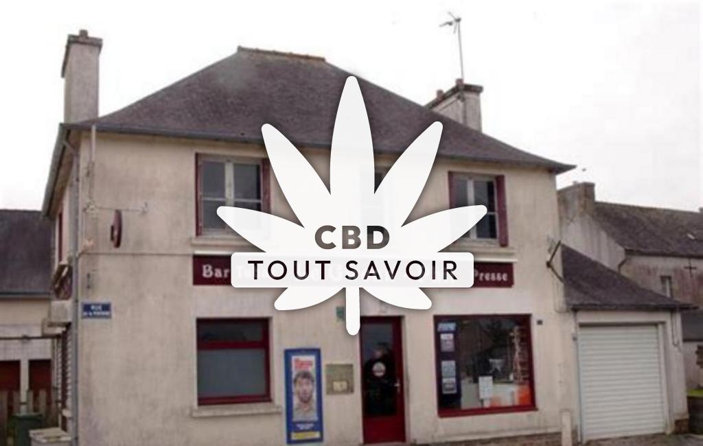 Village à Plougourvest avec feuille Cannabis CBD