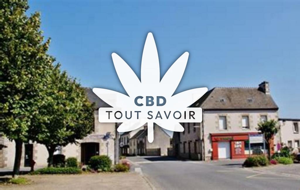 Village à Lanhouarneau avec feuille Cannabis CBD