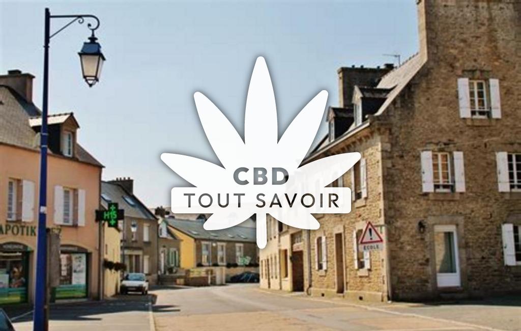 Village à Plounevez-Lochrist avec feuille Cannabis CBD