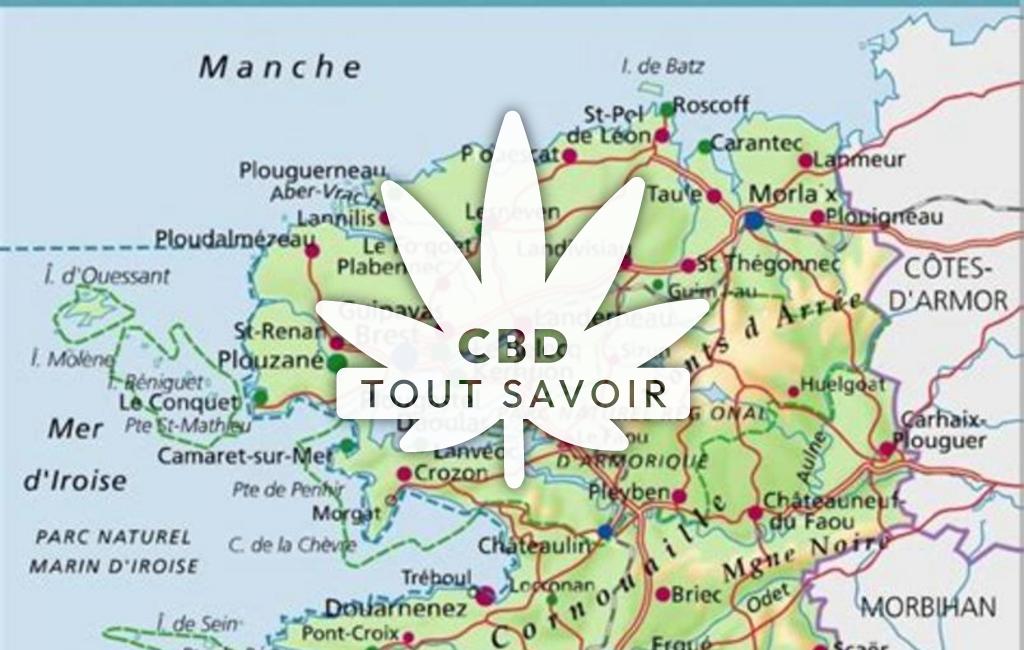 Village à Treflez avec feuille Cannabis CBD