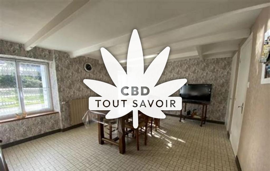 Village à Plouzevede avec feuille Cannabis CBD