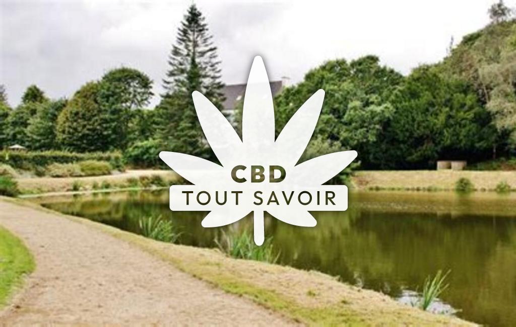 Village à Saint-Derrien avec feuille Cannabis CBD