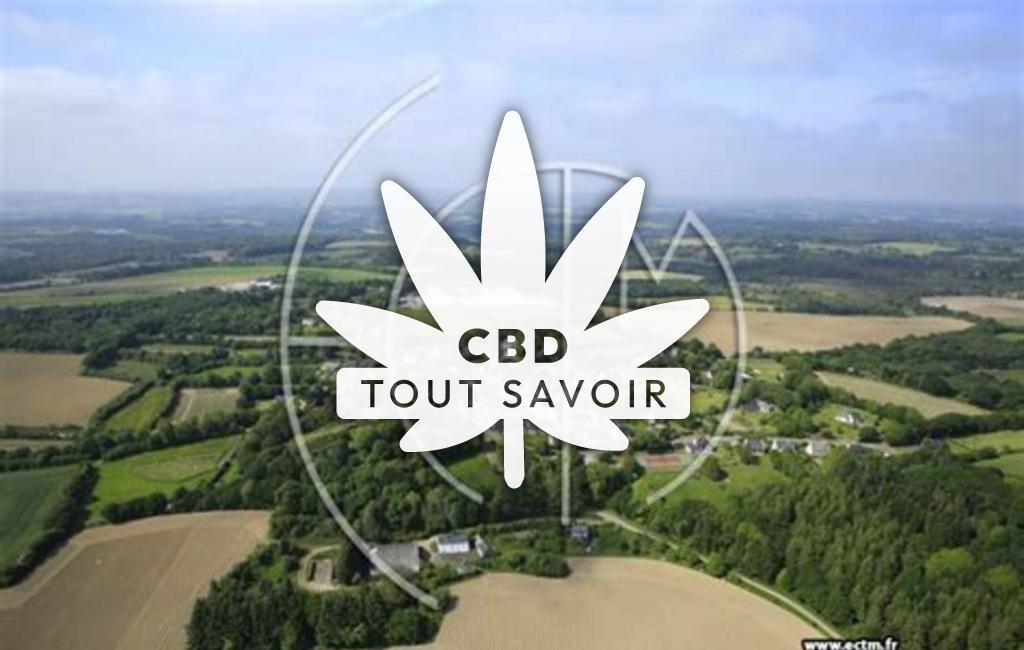 Village à Saint-Eloy avec feuille Cannabis CBD