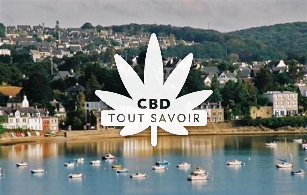 Village à Le-Relecq-Kerhuon avec feuille Cannabis CBD