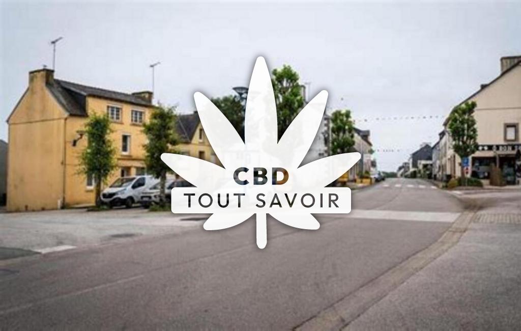 Village à Edern avec feuille Cannabis CBD