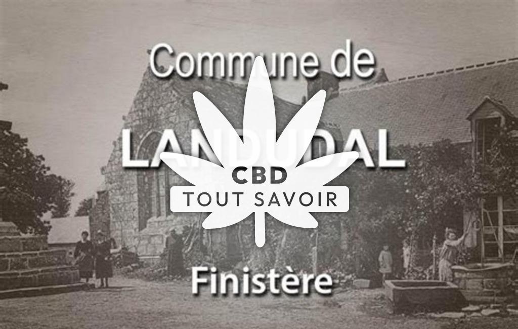 Village à Landudal avec feuille Cannabis CBD