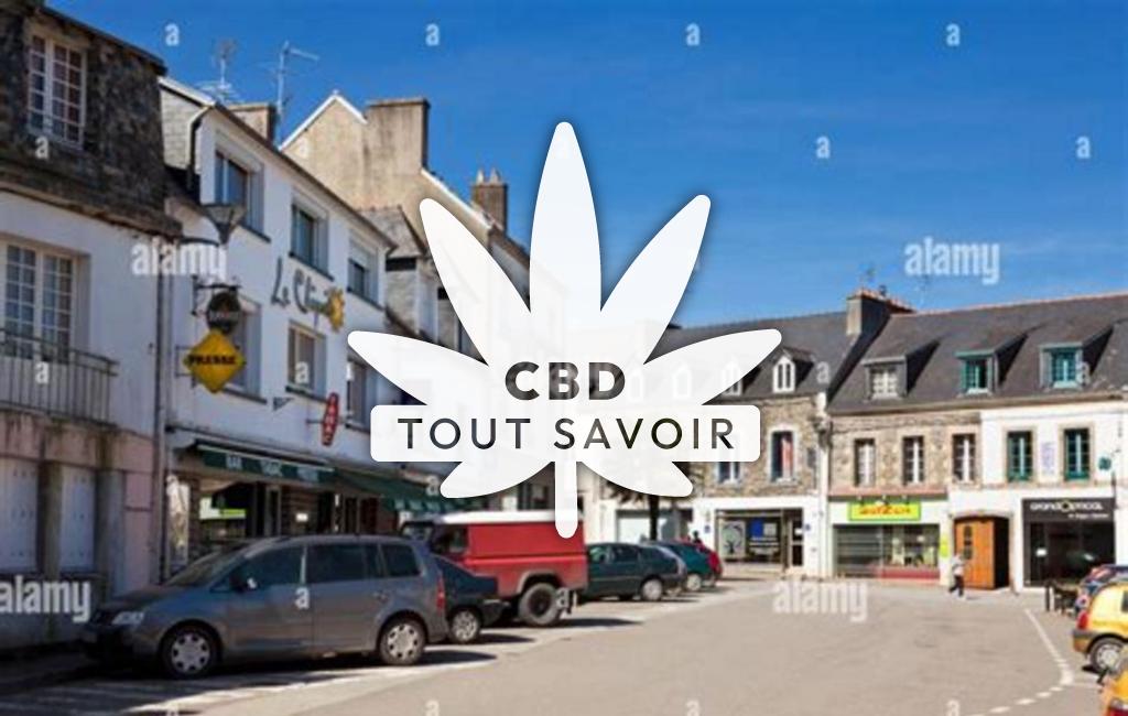 Village à Chateauneuf-du-Faou avec feuille Cannabis CBD