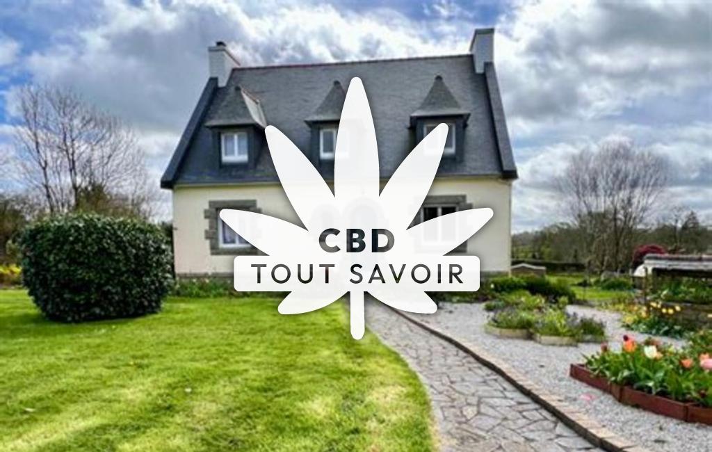 Village à Laz avec feuille Cannabis CBD