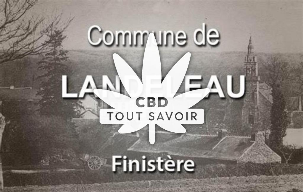 Village à Landeleau avec feuille Cannabis CBD