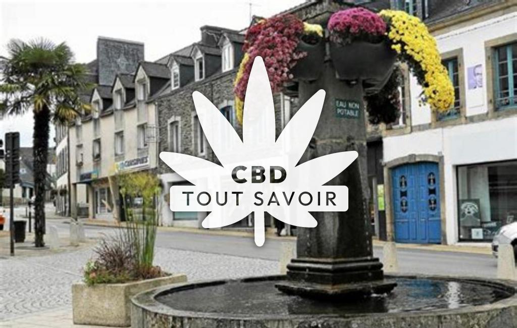 Village à Plonevez-du-Faou avec feuille Cannabis CBD