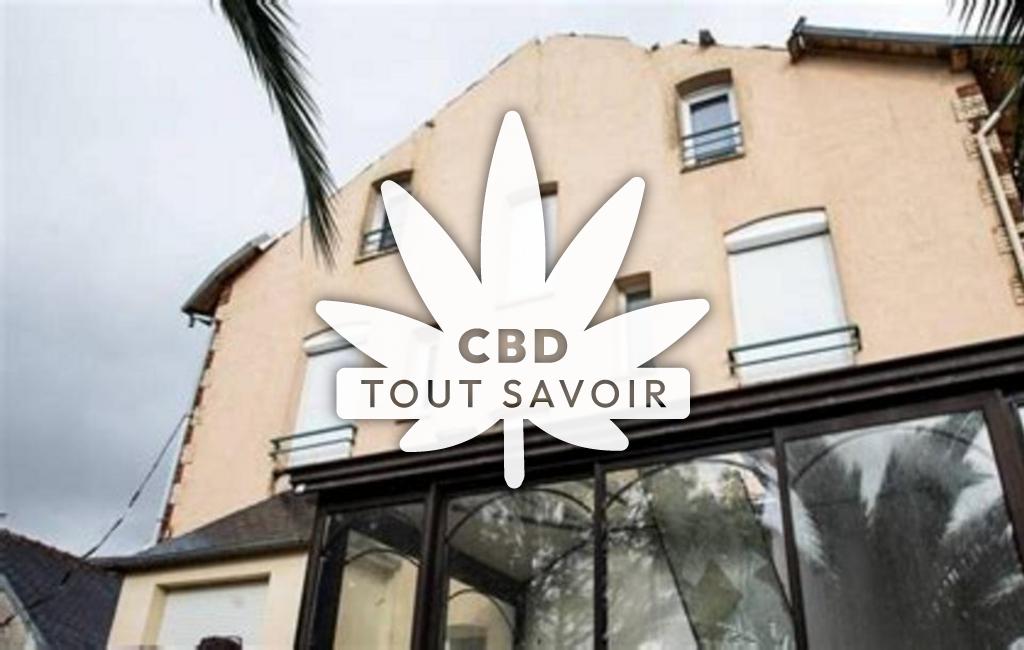 Village à Plomodiern avec feuille Cannabis CBD