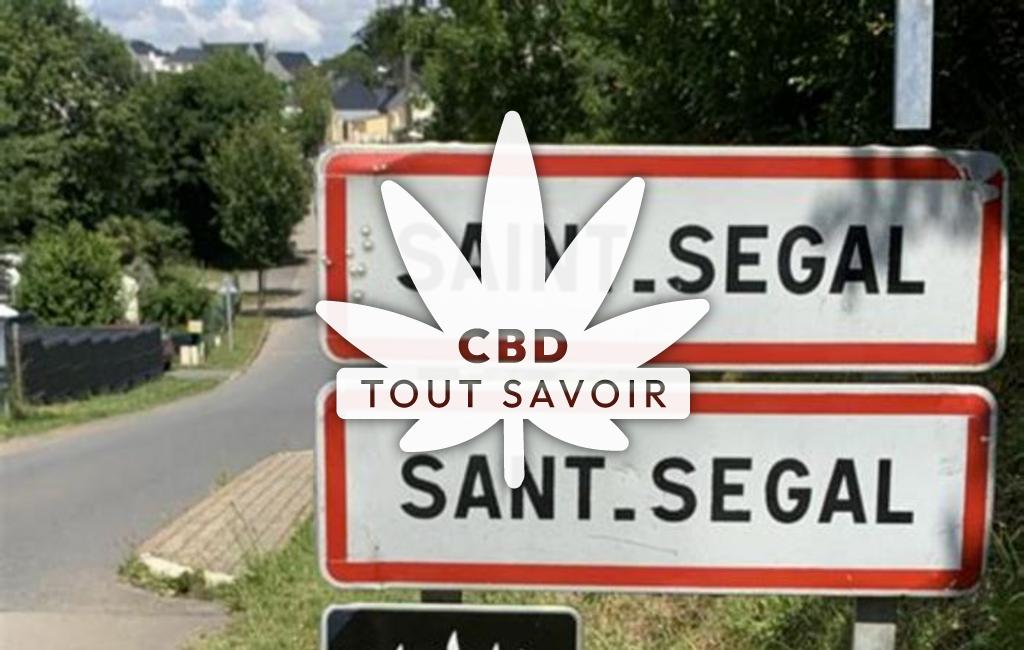 Village à Saint-Segal avec feuille Cannabis CBD